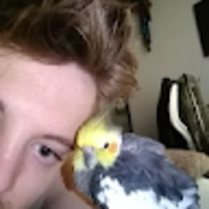 Meet your Posher, Jack